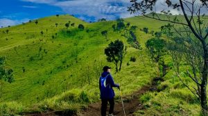 Menikmati Kebebasan dalam Solo Travel ke Tempat Wisata Alam